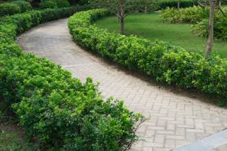 paver-installers-near-me-bay-area-walkway