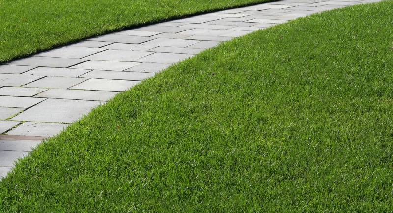 Creating a Stunning and Low-Maintenance Backyard with Patio Pavers, Driveway Pavers, and Synthetic Turf